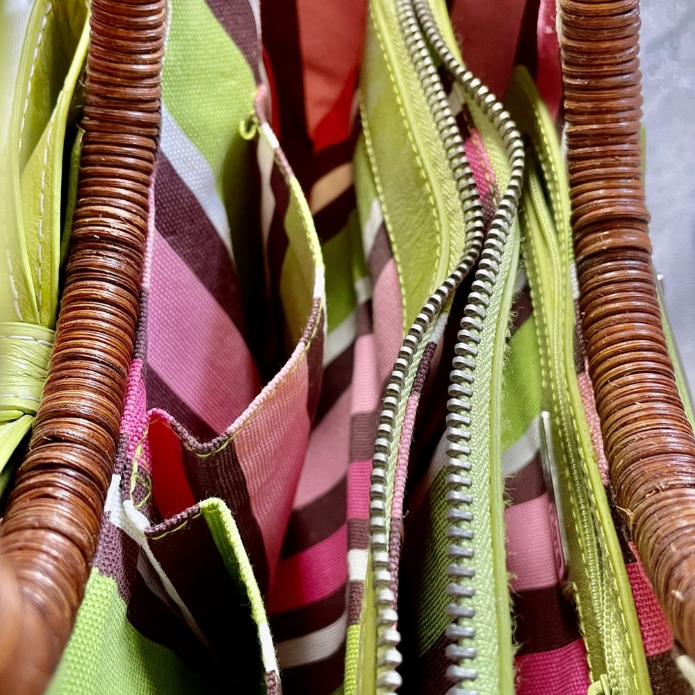 Adorable & fun Isabella Fiore bag